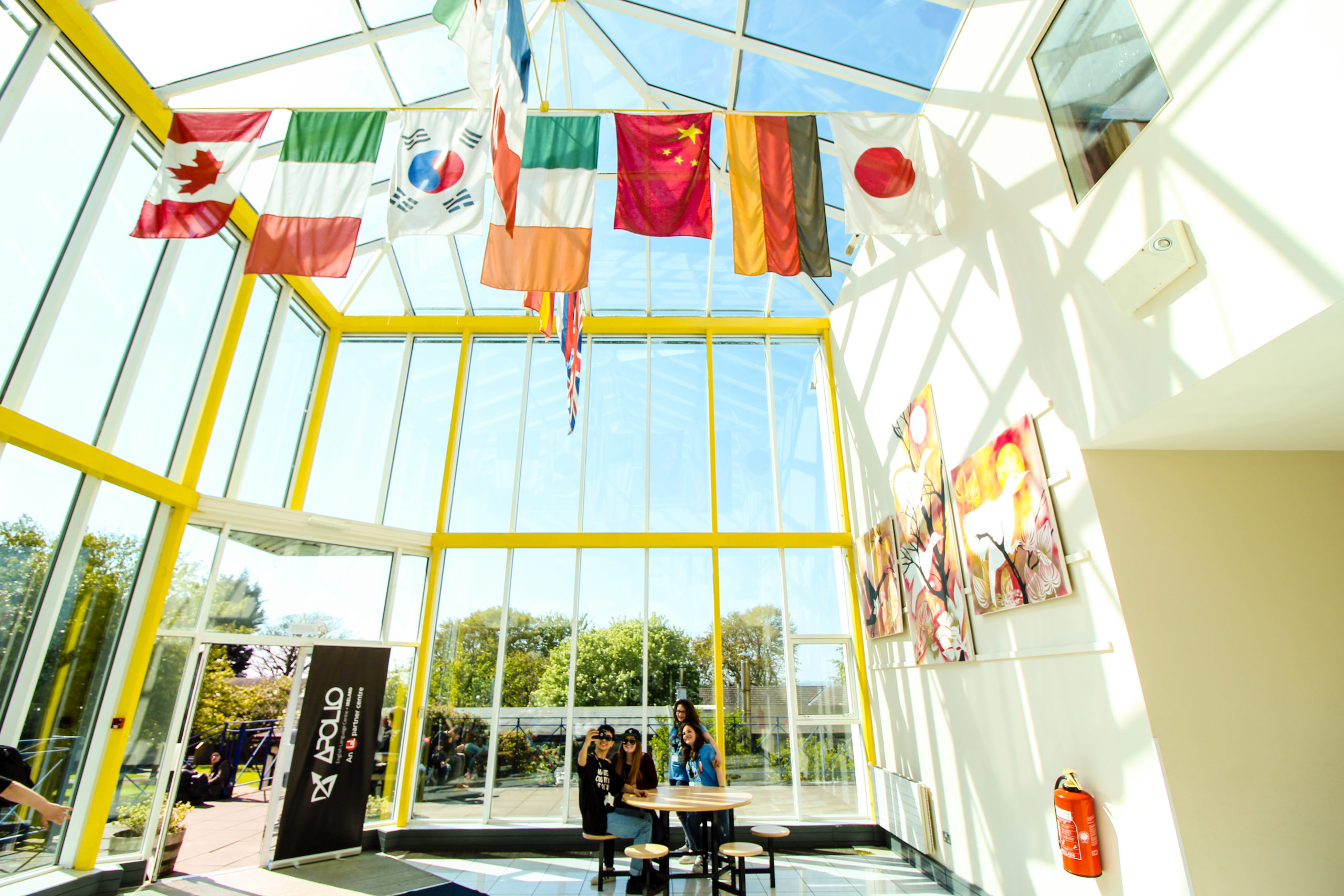 language students in a large spacious conservatory on a sunny day in Apollo language centre with paintings on the walls and flags of different countries hanging from the ceiling