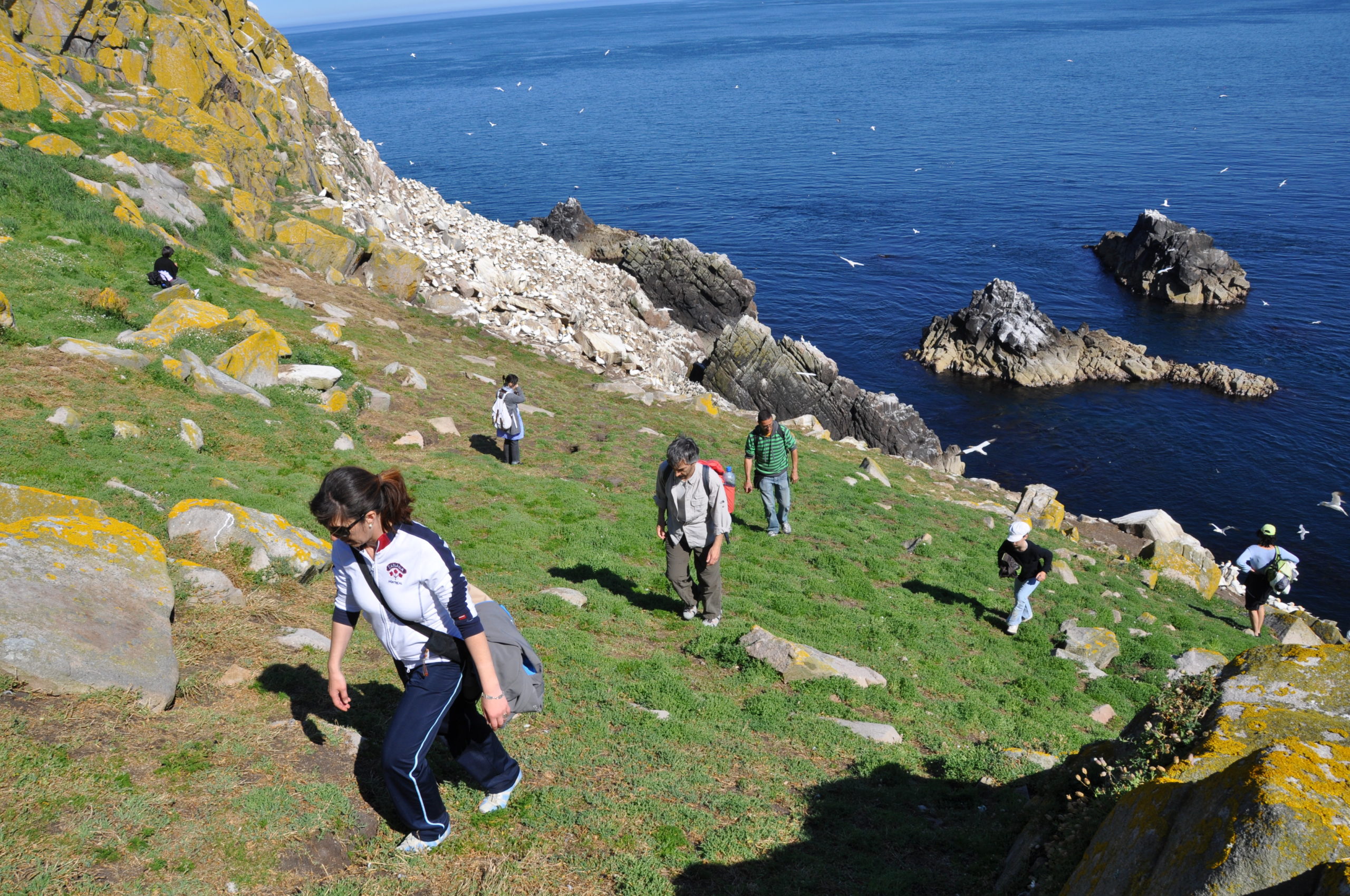 SLC group of students visiting the saltees beautiful cliff and sea